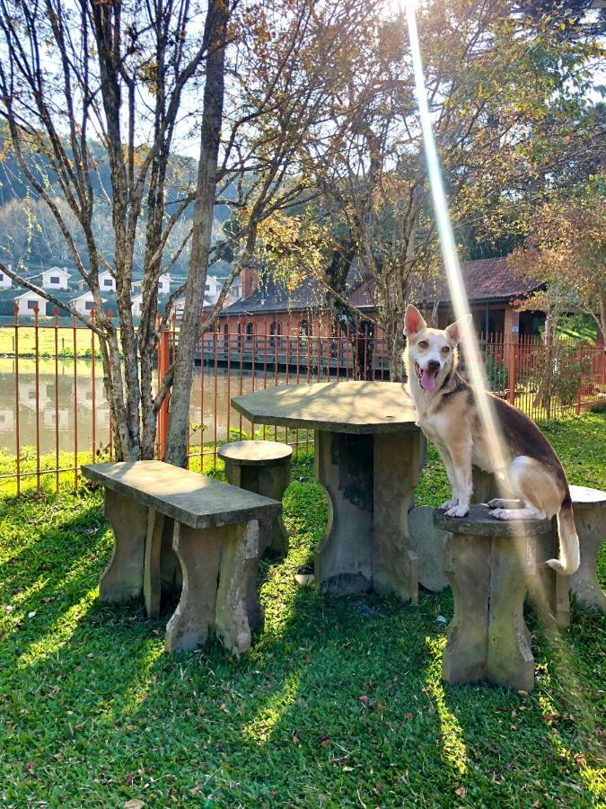 Pousada Parque Das Pitangueiras Flores da Cunha Dış mekan fotoğraf