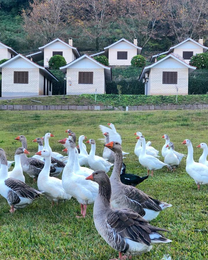 Pousada Parque Das Pitangueiras Flores da Cunha Dış mekan fotoğraf