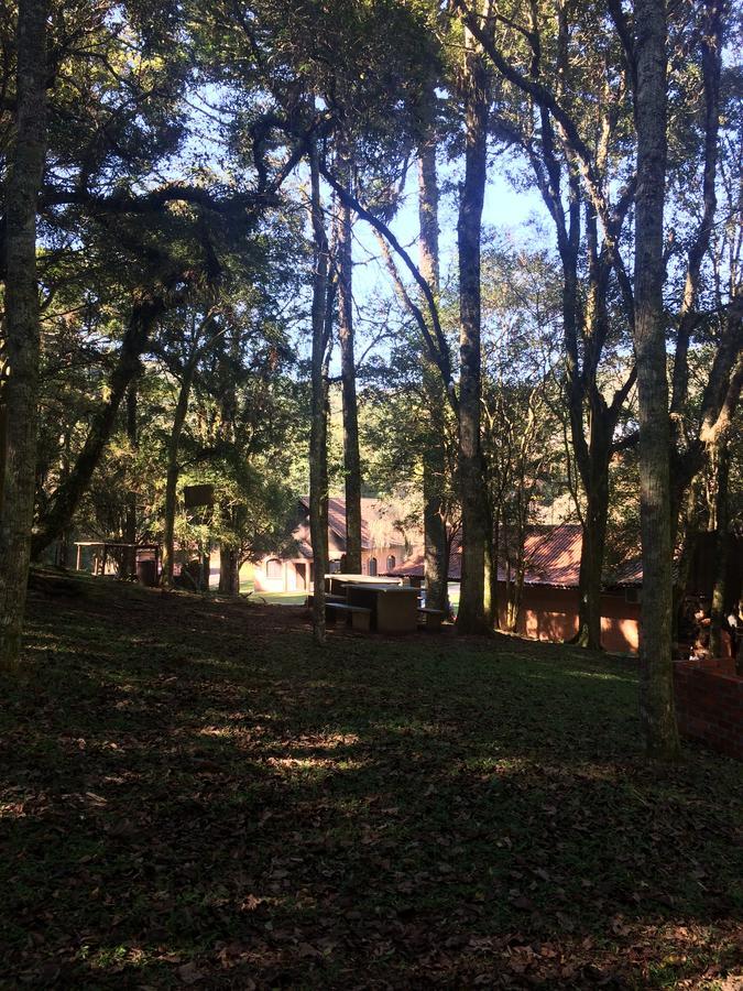 Pousada Parque Das Pitangueiras Flores da Cunha Dış mekan fotoğraf